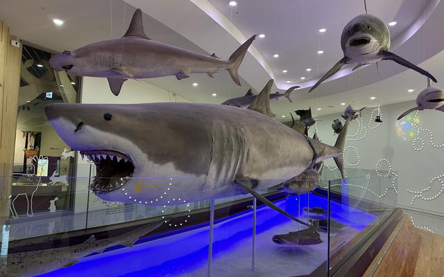 리뷰 대표 이미지