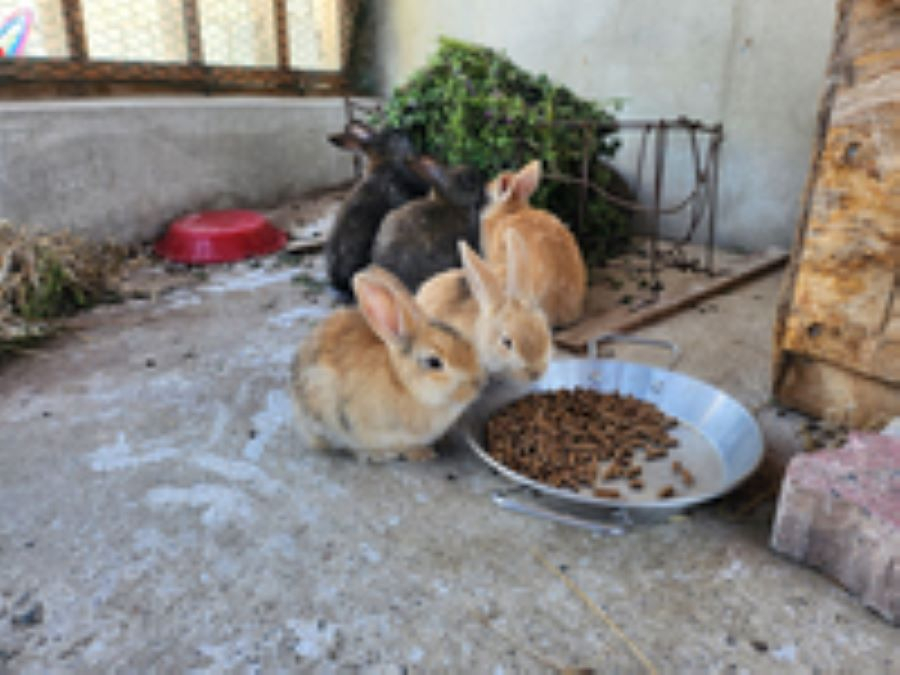https://yaimg.yanolja.com/v5/2025/06/30/09/686257c18118e8.48587979.jpg