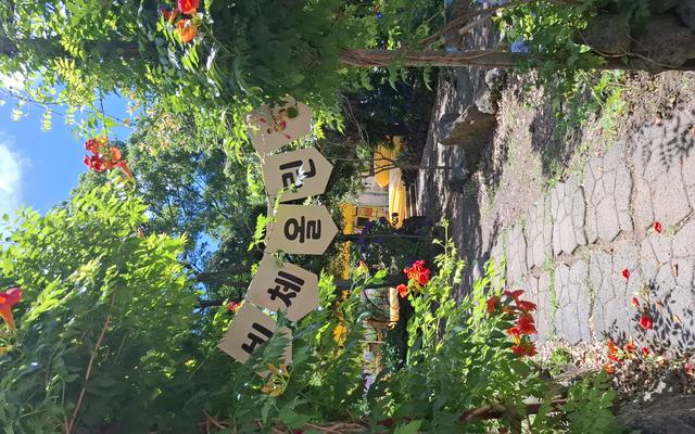 리뷰 대표 이미지