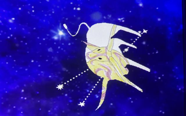 리뷰 대표 이미지