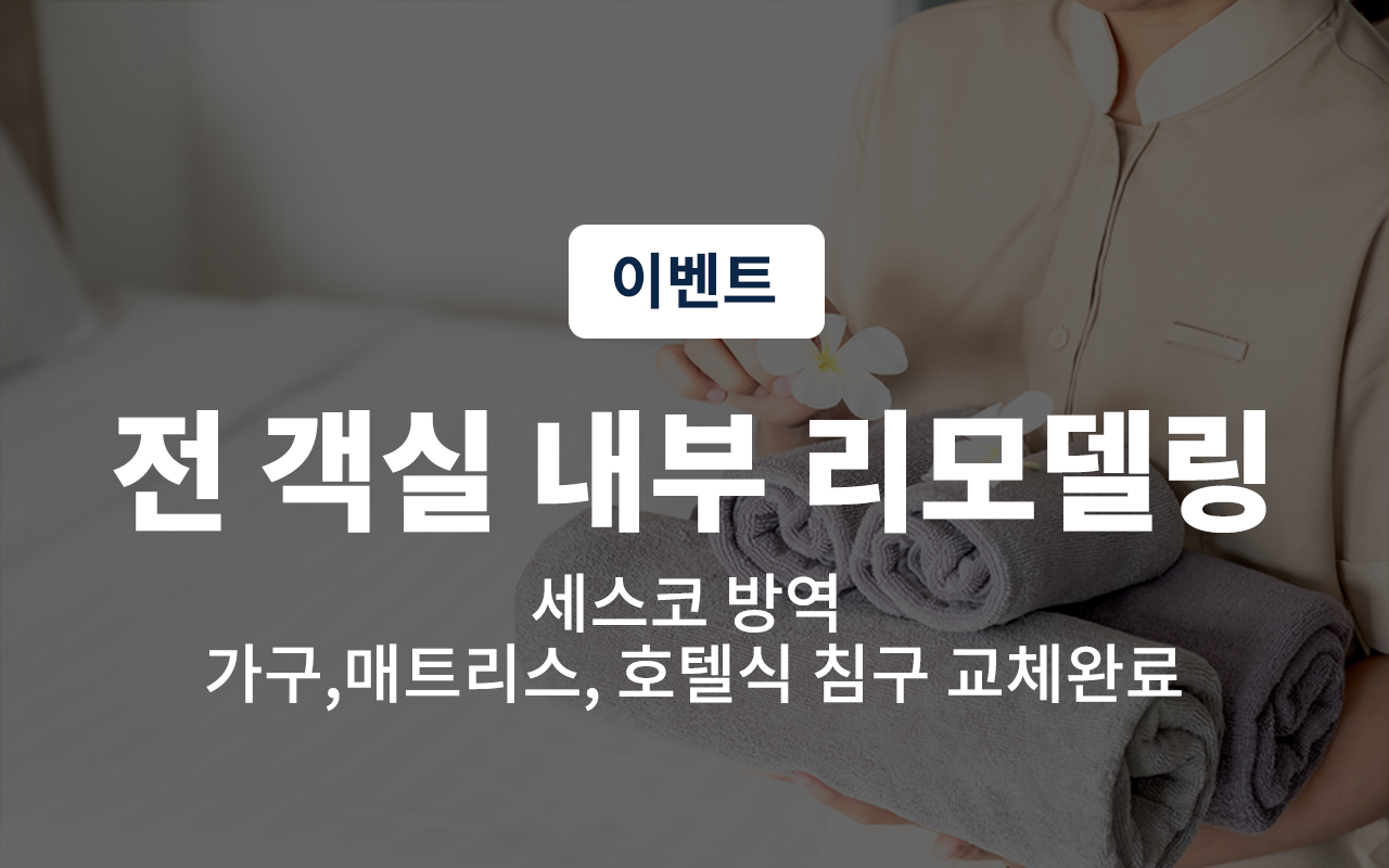 스탠다드 (스타일러, 공기청정기, 2인욕조,최근 리모델링,넷플릭스)(티빙, 디즈니,왓챠시청가능, 스마트초대형TV,가구,매트리스 호텔식이불교체)