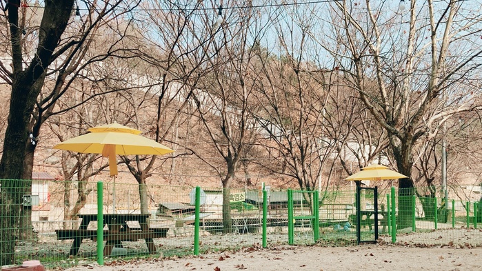 https://yaimg.yanolja.com/v5/2025/07/08/06/686cc02d39f5e1.79125225.jpg