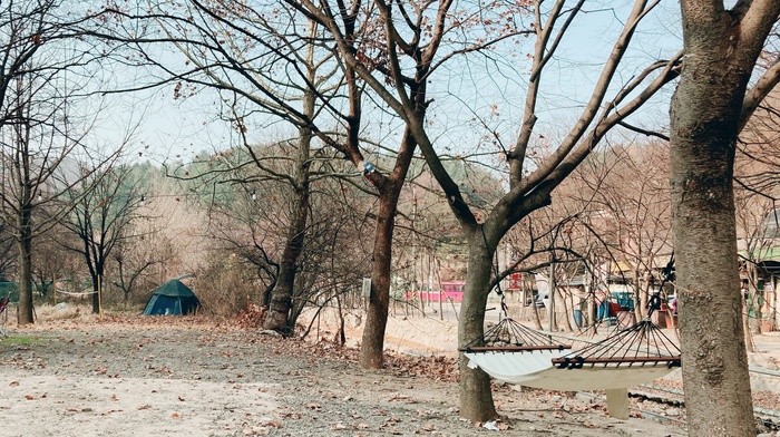 https://yaimg.yanolja.com/v5/2025/07/08/06/686cc02d3af535.54268224.jpg