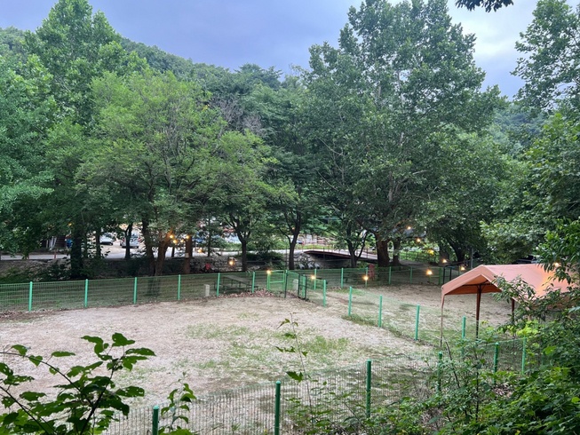 https://yaimg.yanolja.com/v5/2025/07/08/06/686cc02d41ac57.99111039.jpg