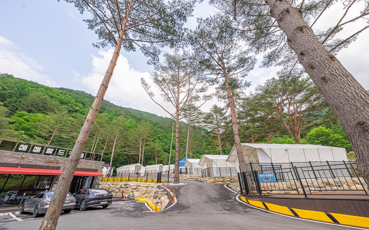 정선 에메랄드 글램핑&풀빌라 사진
