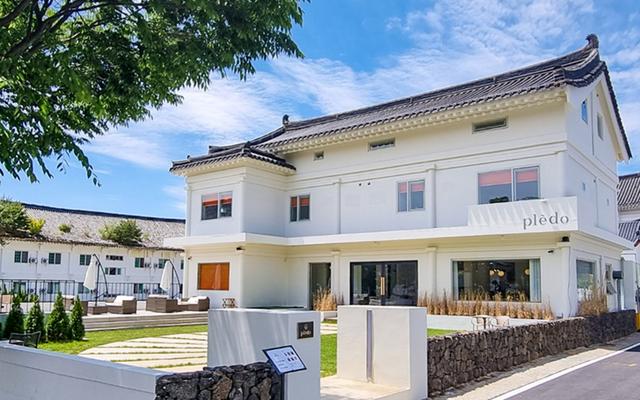 스테이플레도(Stay Pledo)