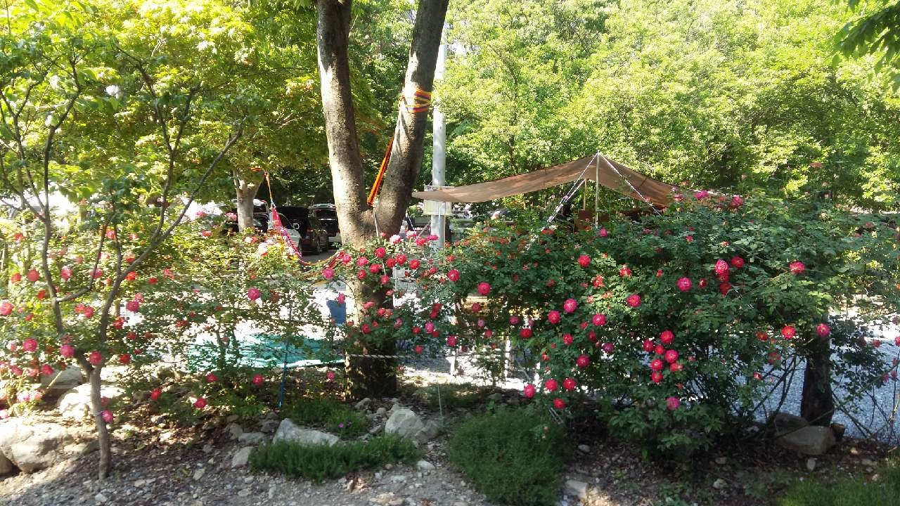 https://yaimg.yanolja.com/v5/2025/07/14/08/6874c3852a9487.93419011.jpg