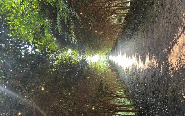 리뷰 대표 이미지