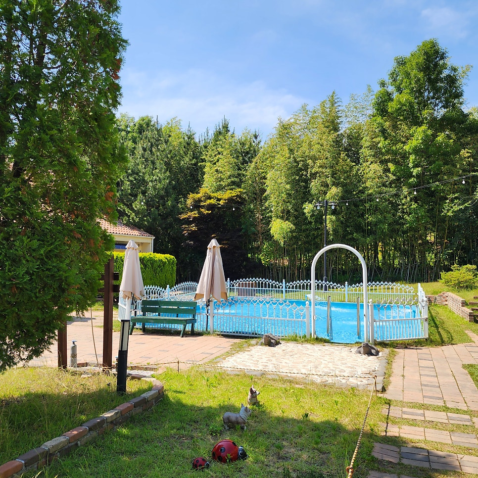 https://yaimg.yanolja.com/v5/2025/07/15/08/6876133eb2f313.09361287.jpg