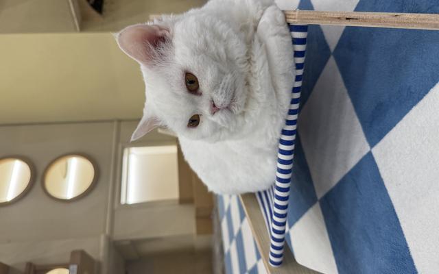 리뷰 대표 이미지