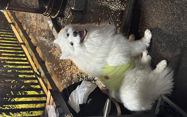 썸네일_1
