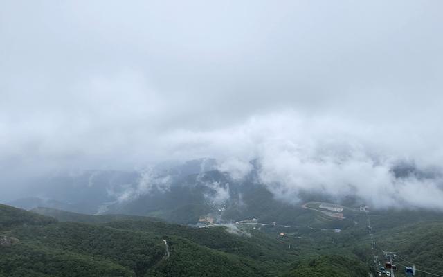 리뷰 대표 이미지