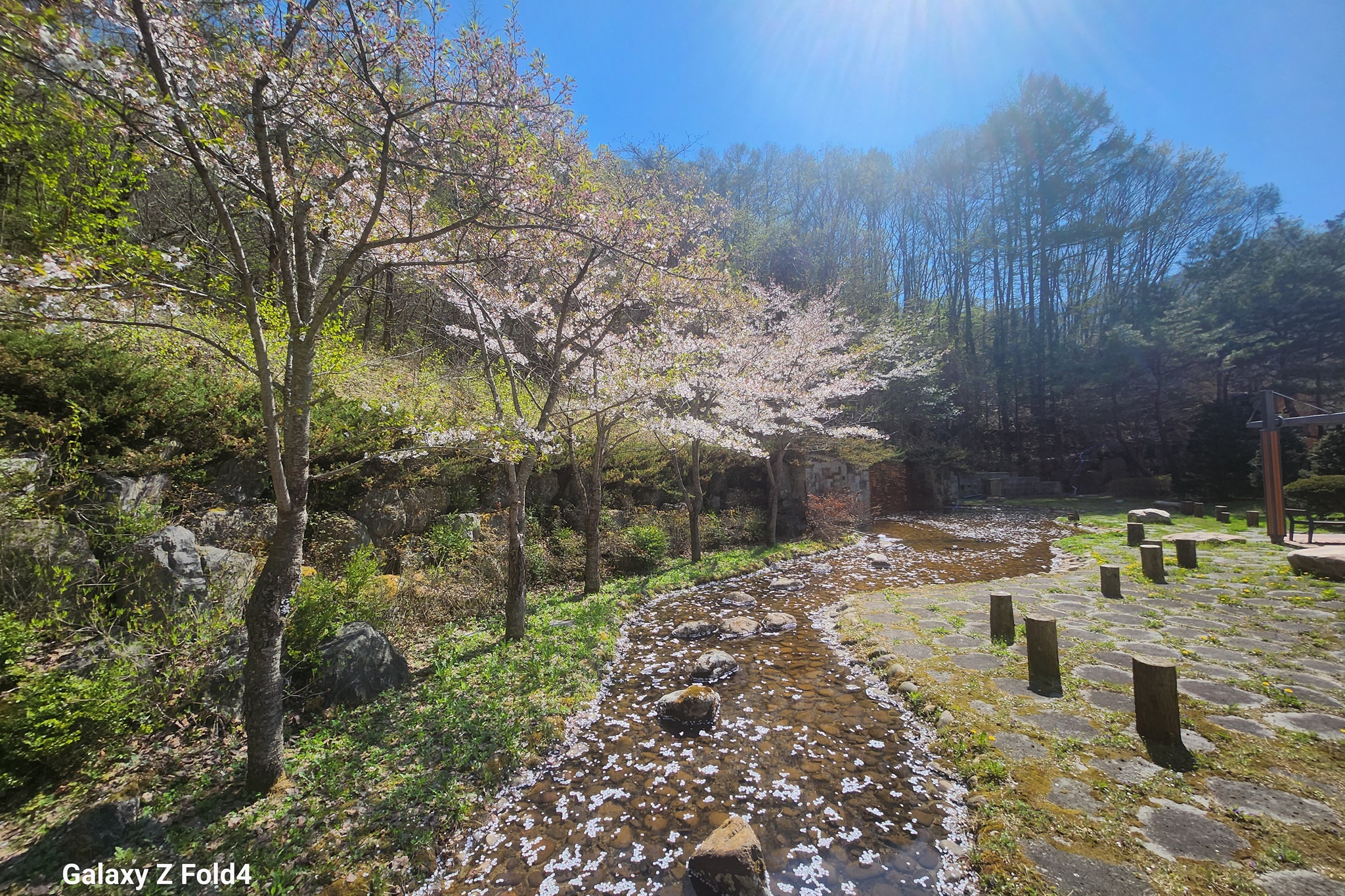 하이캐슬리조트 전망