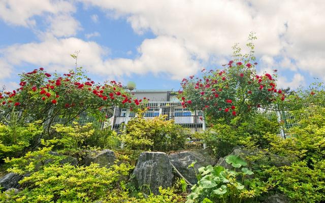 화성 다소니펜션