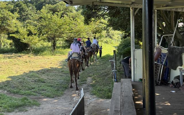 리뷰 대표 이미지