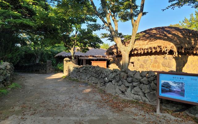 리뷰 대표 이미지