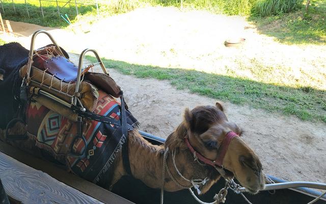 리뷰 대표 이미지