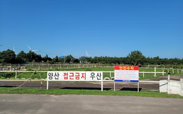 리뷰 대표 이미지