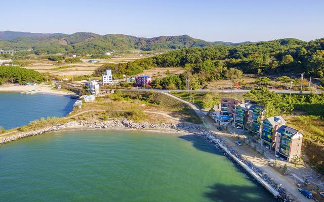 보령(무창포) 사제스힐펜션 사진