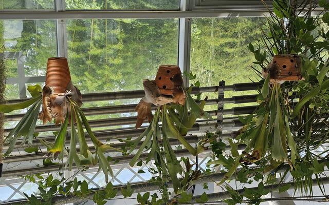 리뷰 대표 이미지