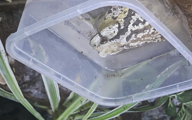 리뷰 대표 이미지