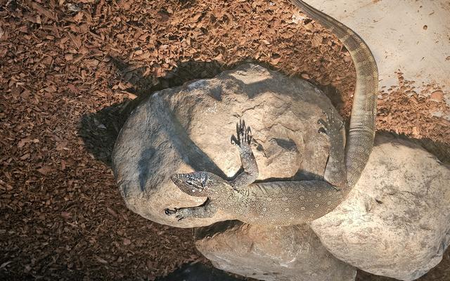 리뷰 대표 이미지