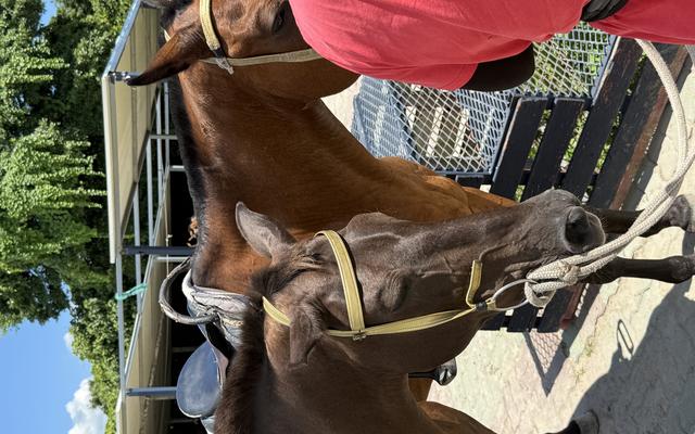 리뷰 대표 이미지