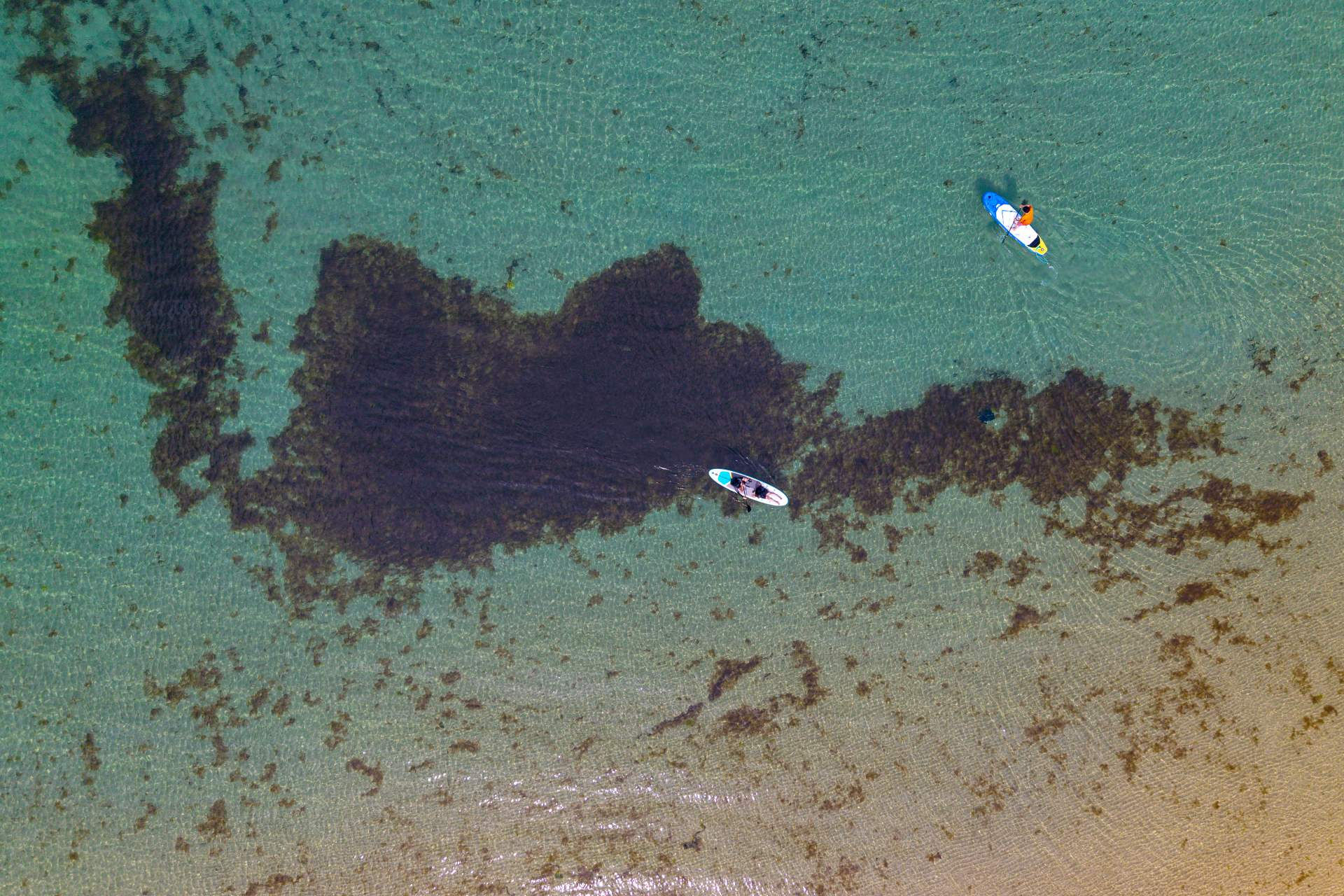 https://yaimg.yanolja.com/v5/2025/07/29/01/688829509c95b7.09635157.jpg