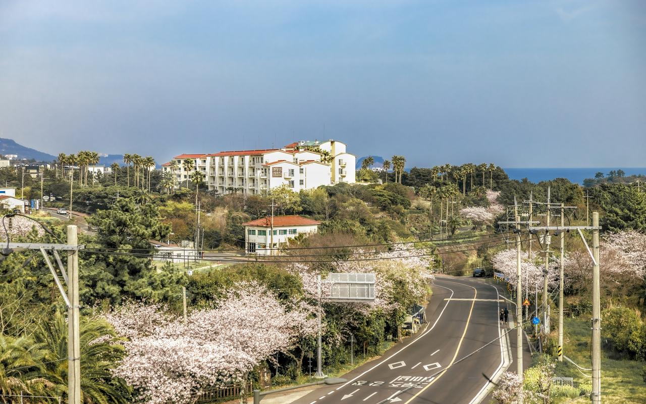 켄싱턴리조트 서귀포 사진