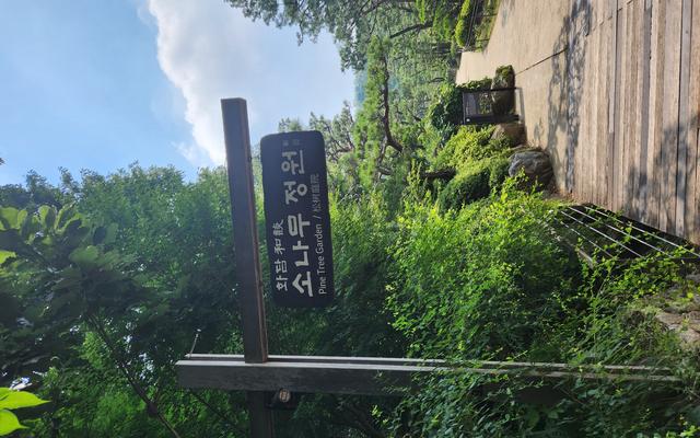 리뷰 대표 이미지
