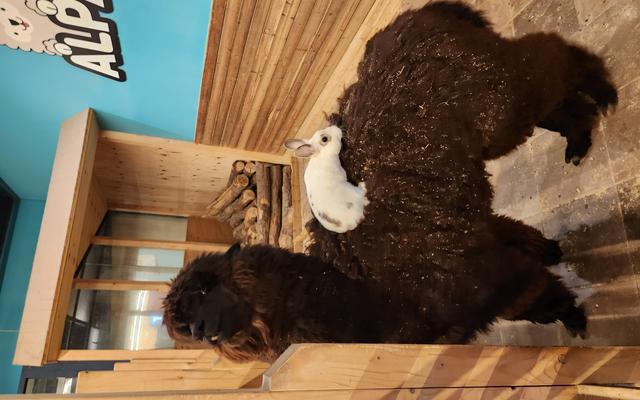 리뷰 대표 이미지