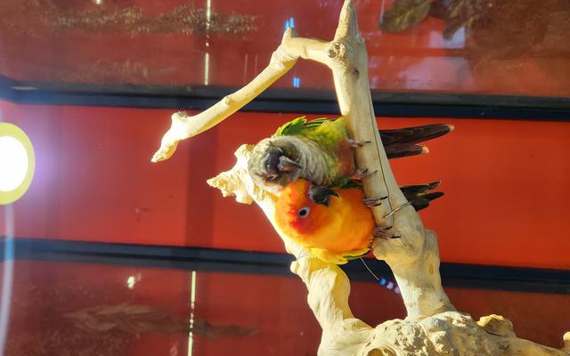 리뷰 대표 이미지