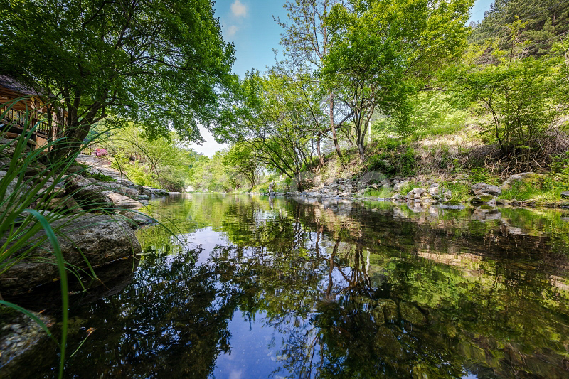 https://yaimg.yanolja.com/v5/2025/08/01/05/688c54c0b5c816.61439760.jpg