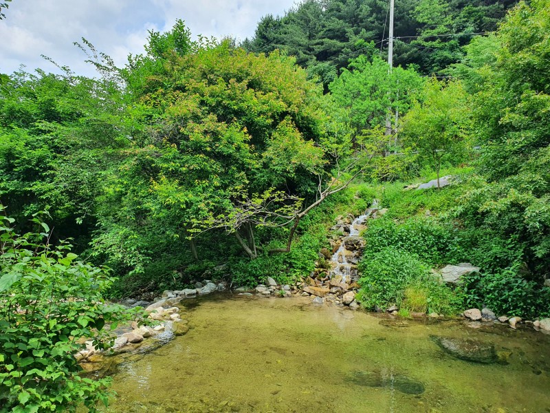 https://yaimg.yanolja.com/v5/2025/08/01/05/688c54c0b72638.81934489.jpg