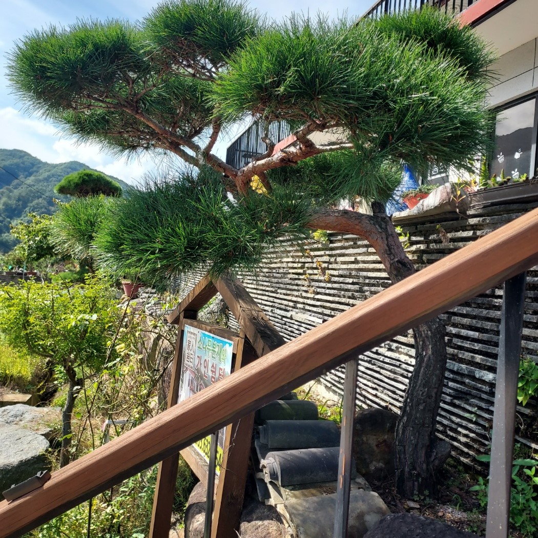 남원 가인쉼터 전망