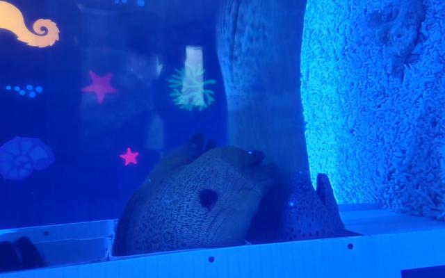 리뷰 대표 이미지