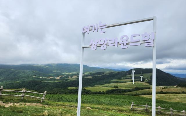 리뷰 대표 이미지