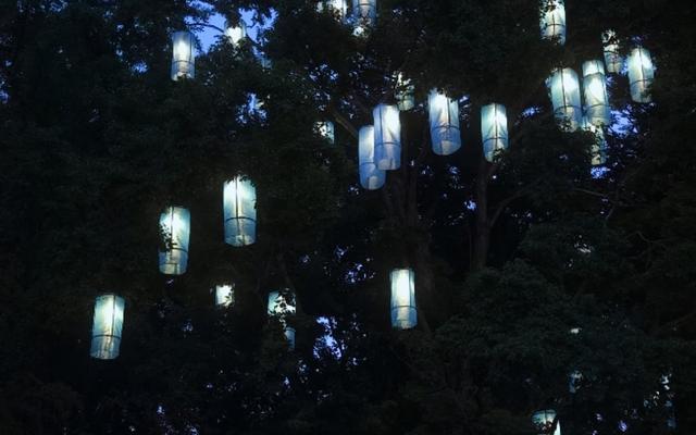 리뷰 대표 이미지