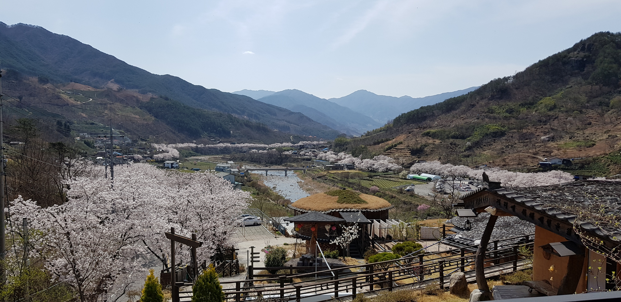 하동 녹천다원 전망