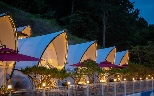 고령 청솔글램핑