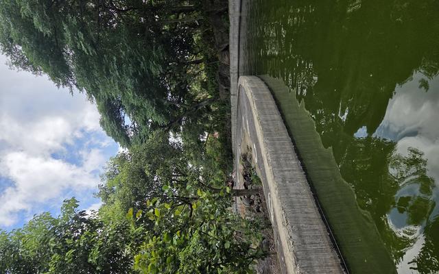 리뷰 대표 이미지