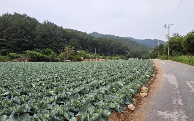 썸네일_2