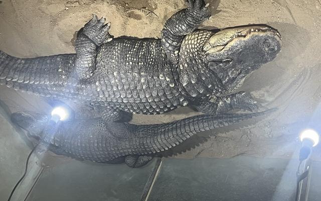 리뷰 대표 이미지