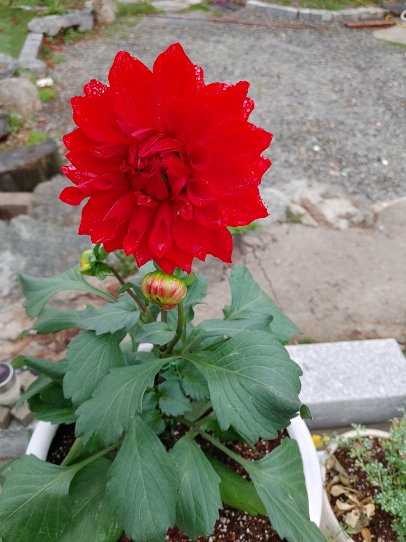https://yaimg.yanolja.com/v5/2025/08/13/09/689c5bdad42461.84379888.jpg