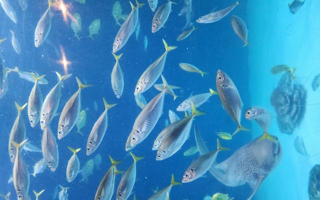 리뷰 대표 이미지