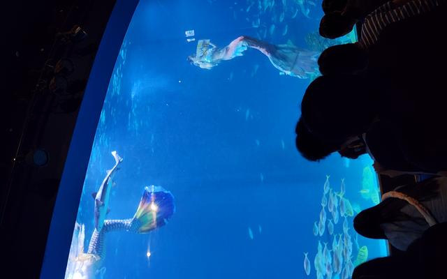 리뷰 대표 이미지