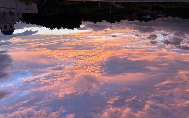 리뷰 대표 이미지