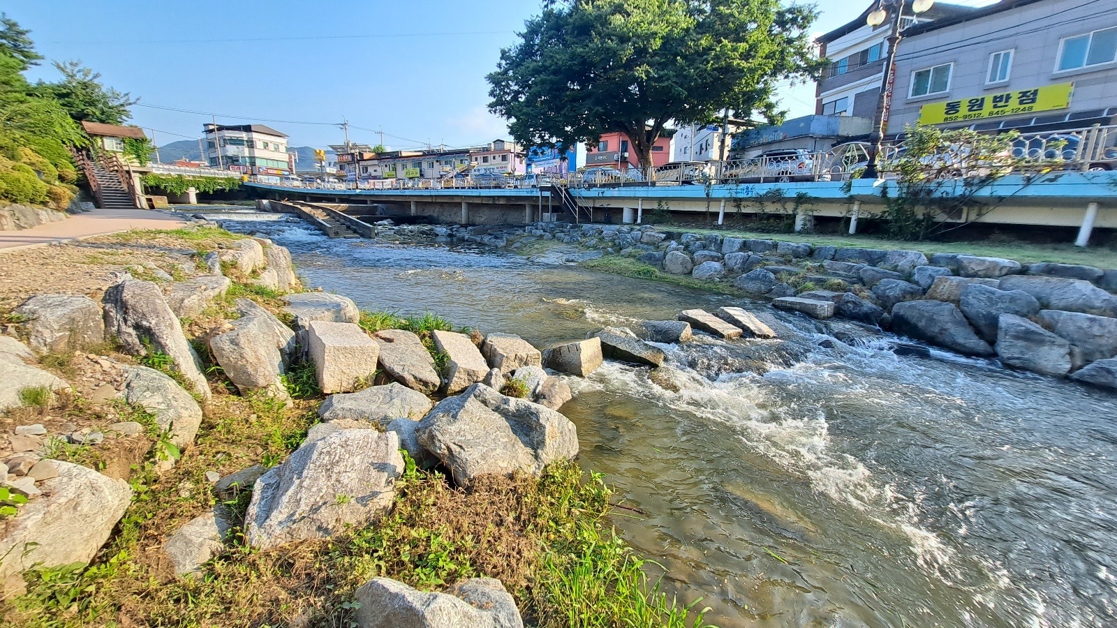 충주 브라운도트 젊음의거리점 사진