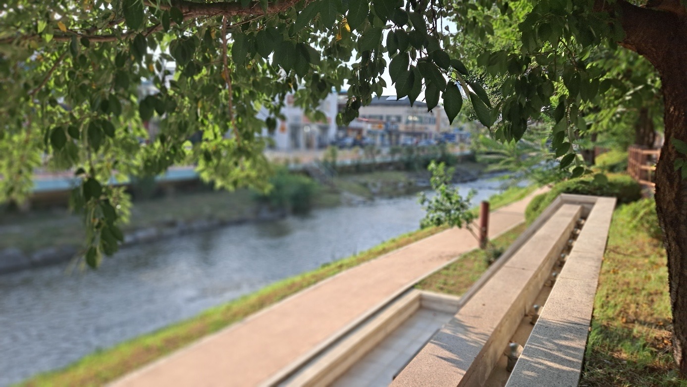 충주 브라운도트 젊음의거리점 전망