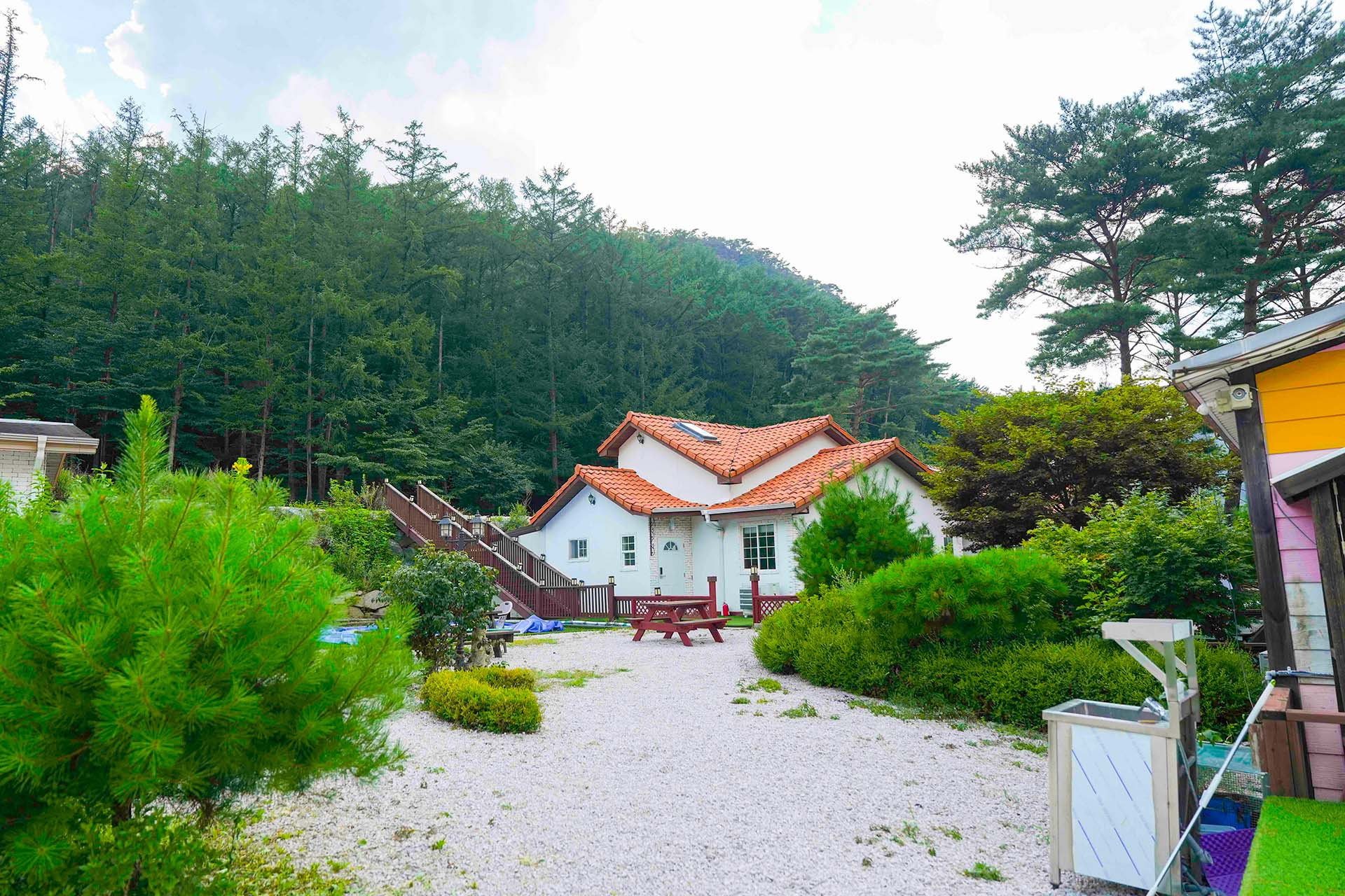 포천 호수와소나무 외관